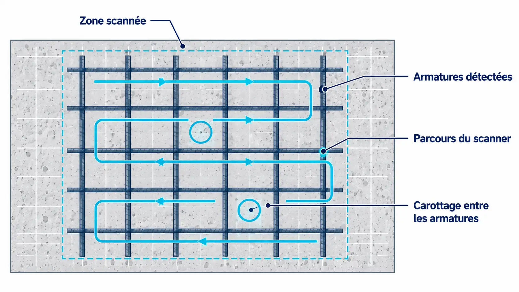 Vue en plan d'une dalle scannée au ferroscan montrant les armatures détectées et deux carottages positionnés entre les aciers